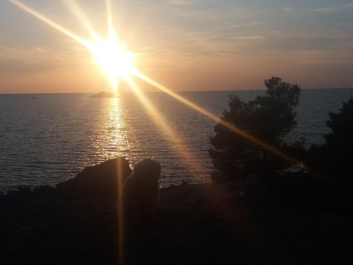 Apartments Ella Rovinj Eksteriør bilde